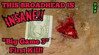 First Kill for the "Big Game 3"™️ | Worlds largest fixed blade broadhead