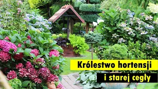 Królestwo hortensji i starej cegły