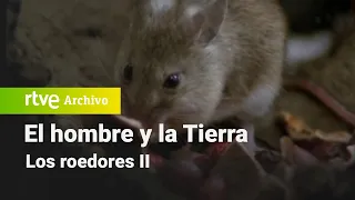 El hombre y la tierra: Chapter 77 - Rodents II | RTVE Archivo