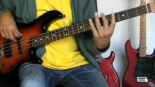 Billy J. kramer & The Dakotas - Bad To Me - Bass Cover