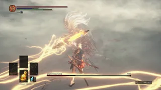 Dark Souls 3 - Nameless King NG+ (No Damage) Zoro