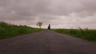 Relaxing Sounds of Light Rain and Soothing Wind Blowing Through Vegetation on an Abandoned Road - 4K