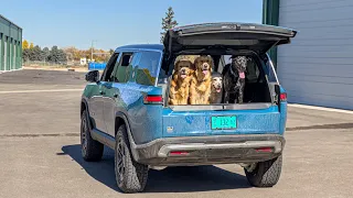 The Rivian R1S Is The Ultimate Dog Hauler