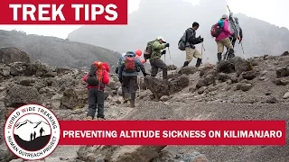 High Altitude Sickness while Climbing Kilimanjaro: How to Prevent it | Trek Tips