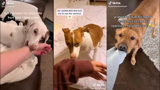 Pretending my dog bite me and seeing their reaction | TikTok