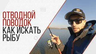 Отводной поводок. Где и как искать окуня. Часть 1. Озеро.