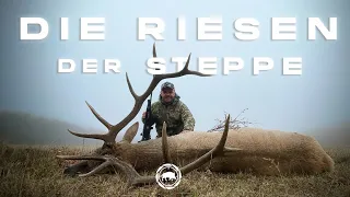 Hirschjagd in der Mongolei | Jagd auf die Riesen der Steppe | Maral Brunft Dokumentation