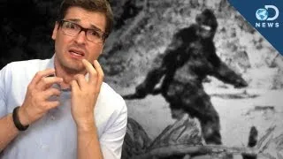 Did They REALLY Find Bigfoot DNA?
