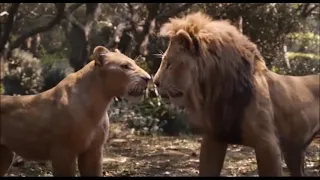 Le Roi Lion - Retrouvaille Simba et Nala - Le film VF