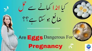 Are Eggs Dangerous For Pregnancy | کیا نڈا کھانے سے حمل ضائع ہو سکتا ہے | Dr khalood Imran