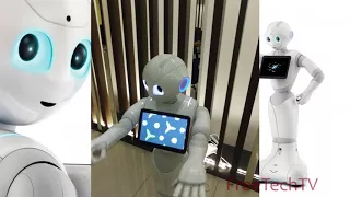 $50,000 Dancing Robot, Meet Pepper The Humanoid Robot