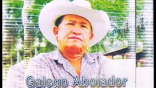 Galego Aboiador o rei dos aboiadores