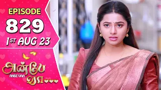 Anbe Vaa Serial Episode 829 | 1st Aug 2023  | Virat | Delna Davis | Saregama TV Shows Tamil