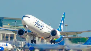 Screaming MAD DOG  Birds Over Runway Up Close Aviation TPA