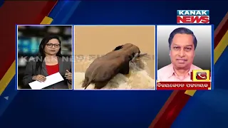 Tusker Gets Stuck Near Mundali |  Discussion With EX-PCCF Bijay Ketan Patnaik