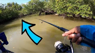 Gheenoe Fishing in Creeks!! (Fishing Ten Thousand Islands)