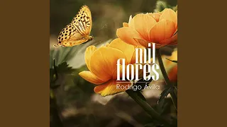 Mil Flores