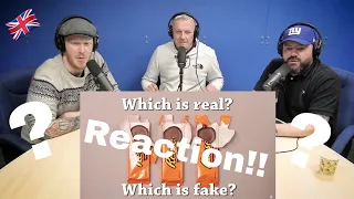 Which is Real? REACTION!! | OFFICE BLOKES REACT!!