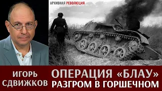 Игорь Сдвижков. Операция "Блау". Разгром в Горшечном