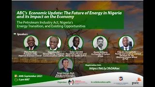 Economic Update: The Future of Energy in Nigeria and its Impact on the Economy