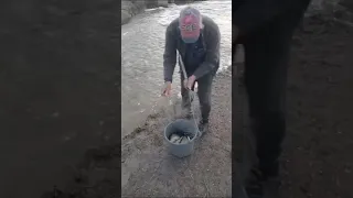 Бывает же такое| карась прёт #fishing #nature #fish