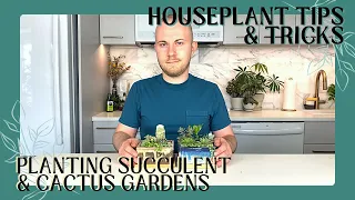 Planting Succulent & Cactus Gardens | Houseplant Tips & Tricks Ep. 11