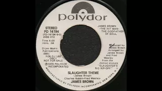 SLAUGHTER THEME/ JAMES BROWN [Polydor PD 14194] (DJ)