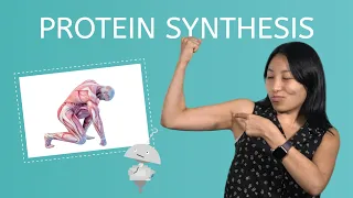 Protein Synthesis - Life Science for Kids!