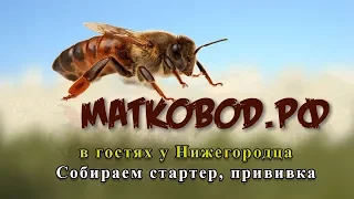 Едем в гости  к Алексею Тараканову (улей Нижегородец)