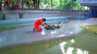 PATTAYA ATTRACTIONS - CROCODILE FARM SHOW - MAN PUTS HIS HEAD INSIDE A CROC'S MOUTH FOR TOURIST