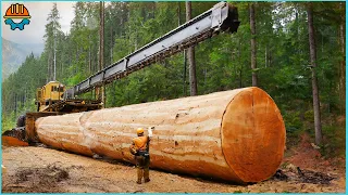 200 Amazing Fastest Big Tree Felling Cutting Equipment Working