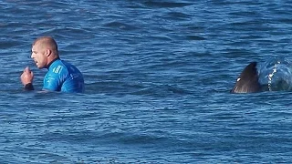 Серфинг с акулой на турнире «J-Bay Open»