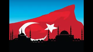 Nadelöhr am Bosporus ‒ Wohin steuert die Türkei? - Herrenhäuser Forum am 9.11.2021