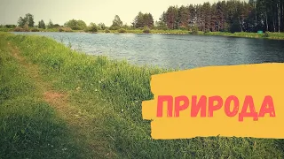 Природа, Лето 2020