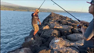 MORNING ACTION | BREAKWALL #fishingvlogs #fishing #hawaiifishing #hawaii #bigislandhawaii