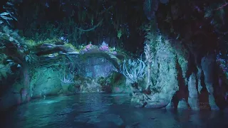 Na'vi River Journey Low Light 60fps POV Sony Walt Disney World Animal Kingdom 2020