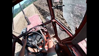 Cab View | NICO ALLA RISCOSSA | PLOWING 2019 | FIATAGRI 80-90 DT + TwoPloughshare ANGELONI BPV 20FLY