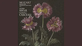 Mozart: Violin Sonata in E Minor, K. 304 - II. Tempo di minuetto