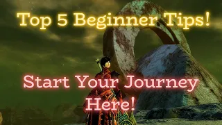 Top 5 Beginner Tips for New Players in Guild Wars 2 | Guide for the Newbies in 2022