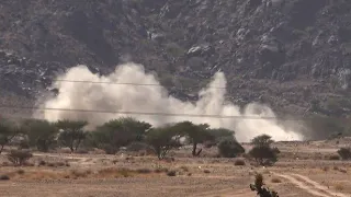 Arab coalition says 160 Houthis killed, 11 military vehicles destroyed in Abedia
