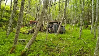 Free stock footage: Old rusty car wrecks in the green spring forest