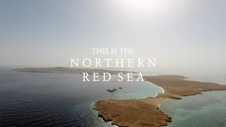 This is the Northern Red Sea (Red Sea Aggressor II)