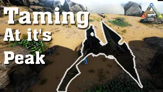 Taming in progress... | ARK PC | #2 |