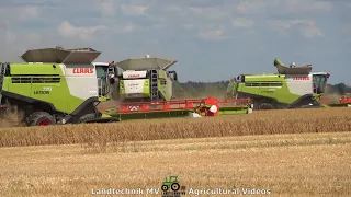 Claas - Fendt - John Deere - ++ / Getreideernte - Grain Harvest  2021  The Whole Story