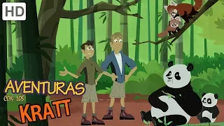 Aventuras con los Kratt - La Protección de Los Insectos y Animales (Parte 1)