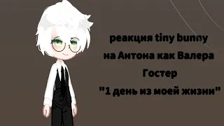 реакция tiny bunny на Антона как "Валера Гостер" дисклеймер в описании!