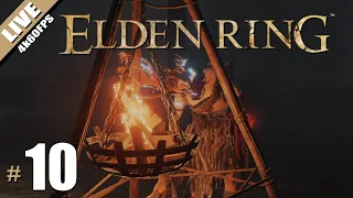หัวจุ่มเฟลมเอ๋มอ้มลมผาดโผน - LIVE - Elden Ring #10