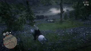 Bear vs Wolves