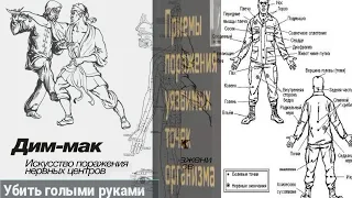 Дим Мак искусство поражение нервных центров . Вадим Старов смертельный удар по точкам и реанимация.