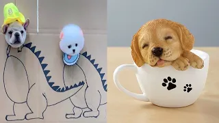 Tik Tok Chó Phốc Sóc Mini | Funny and Cute Pomeranian Videos #33